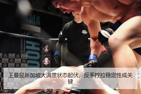 wang-man-yu-xin-jia-po-da-man-guan-zhuang-tai-qi-fu-fan-shou-ning-la-wen-ding-xing-cheng-guan-jian-2-257.jpg