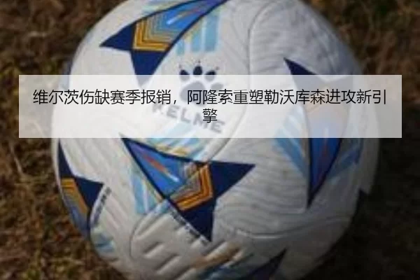 维尔茨伤缺赛季报销，阿隆索重塑勒沃库森进攻新引擎